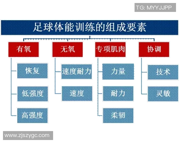 上海足球队耐力训练的挑战与突破探索